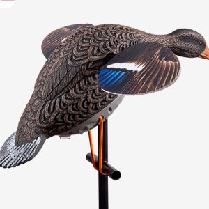 MOTORIZZATO DUCK MANIA FEMMINA