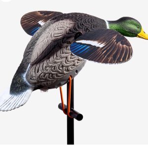 GERMANO MOTORIZATO DUCK MANIA