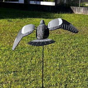 COLOMBACCIO LVS ALI APERTE