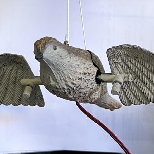 ALLODOLA MOTORIZZATA LVS