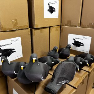 COLONBACCIO LVS FULL BODY  OVER SIZE  BOX 10 PEZZI