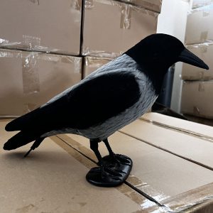 CORNACCHIA GRIGIA LVS FLOCCATA