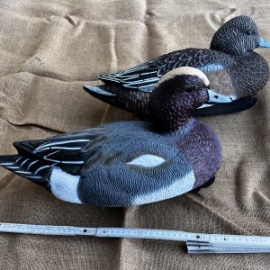 FISCHIONE MAGNUM  3 M +3 F LVS