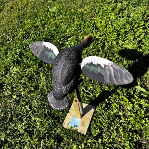 FISCHIONE MOTORIZZATO DUCK MANIA