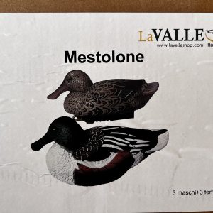 MESTOLONE 3 M+  3 F LVS