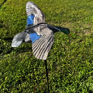 GERMANO MOTORIZZATO LVS ALI BATTENTI.