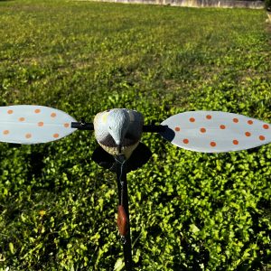 TORTORA MOTORIZZATA LVS