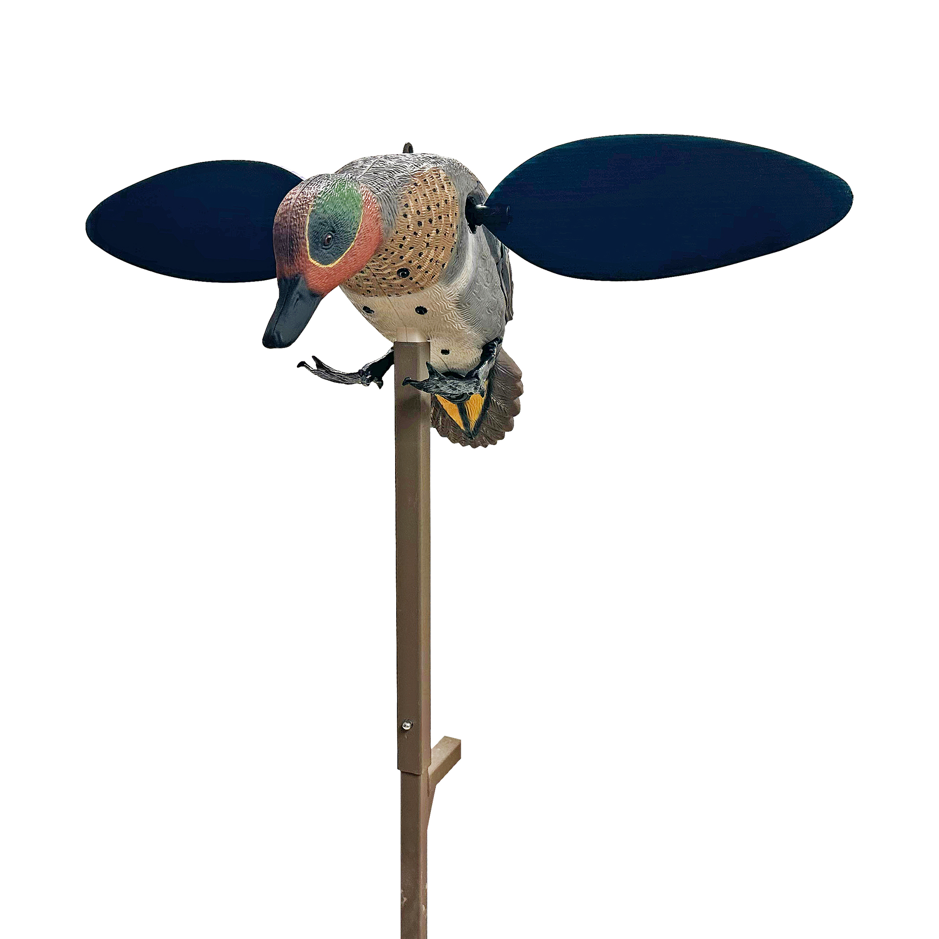MOJO GREEN WING