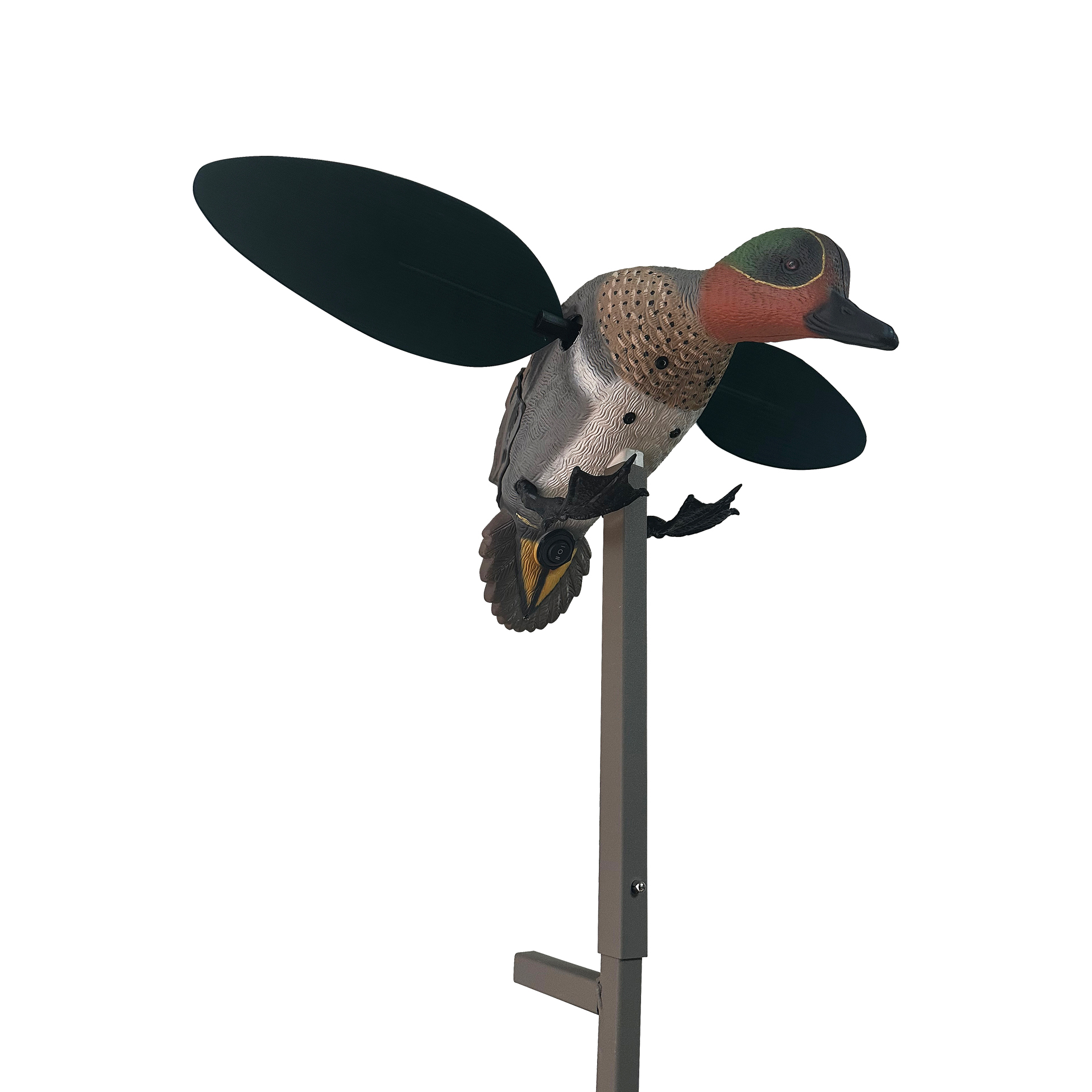 MOJO GREEN WING - immagine 2