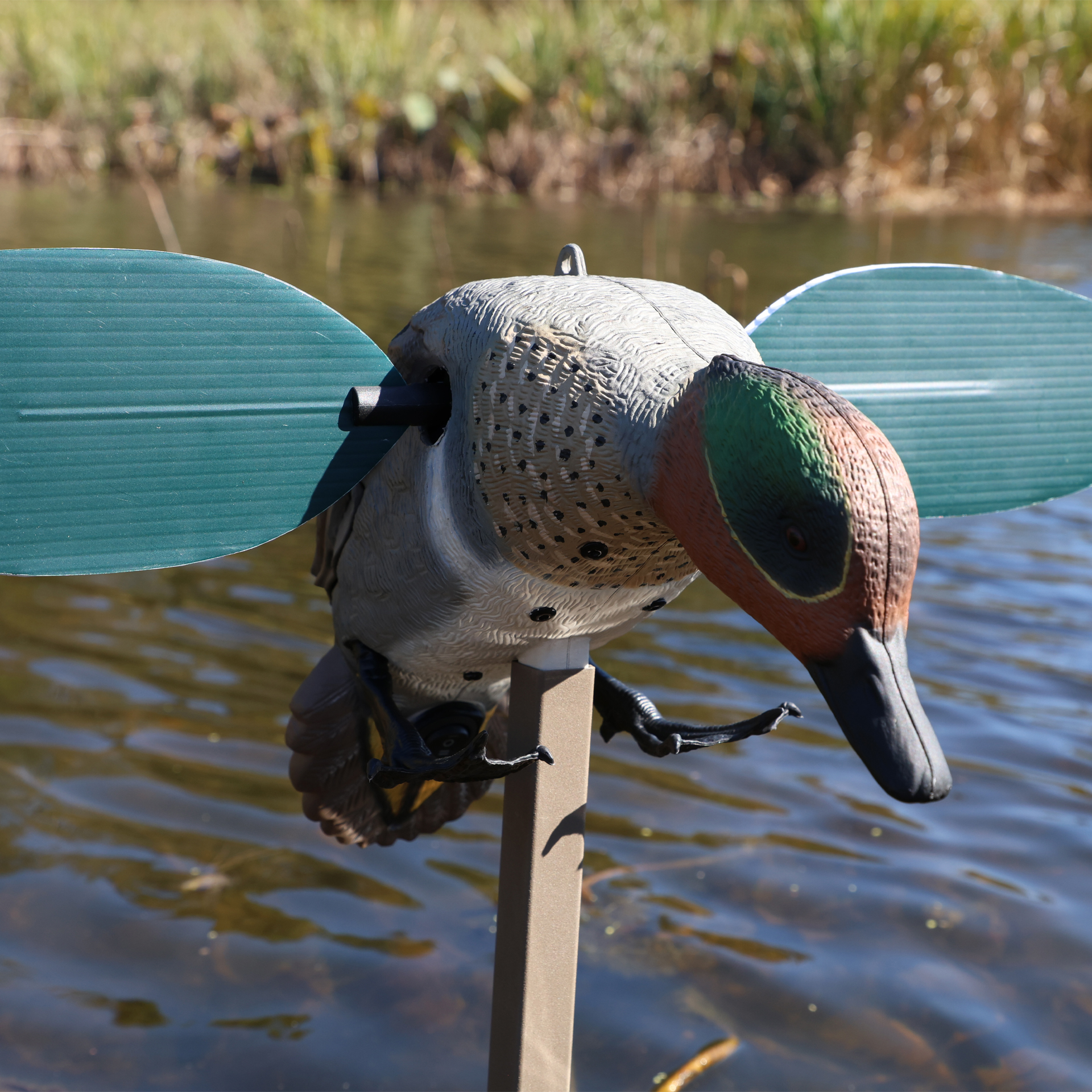 MOJO GREEN WING - immagine 5