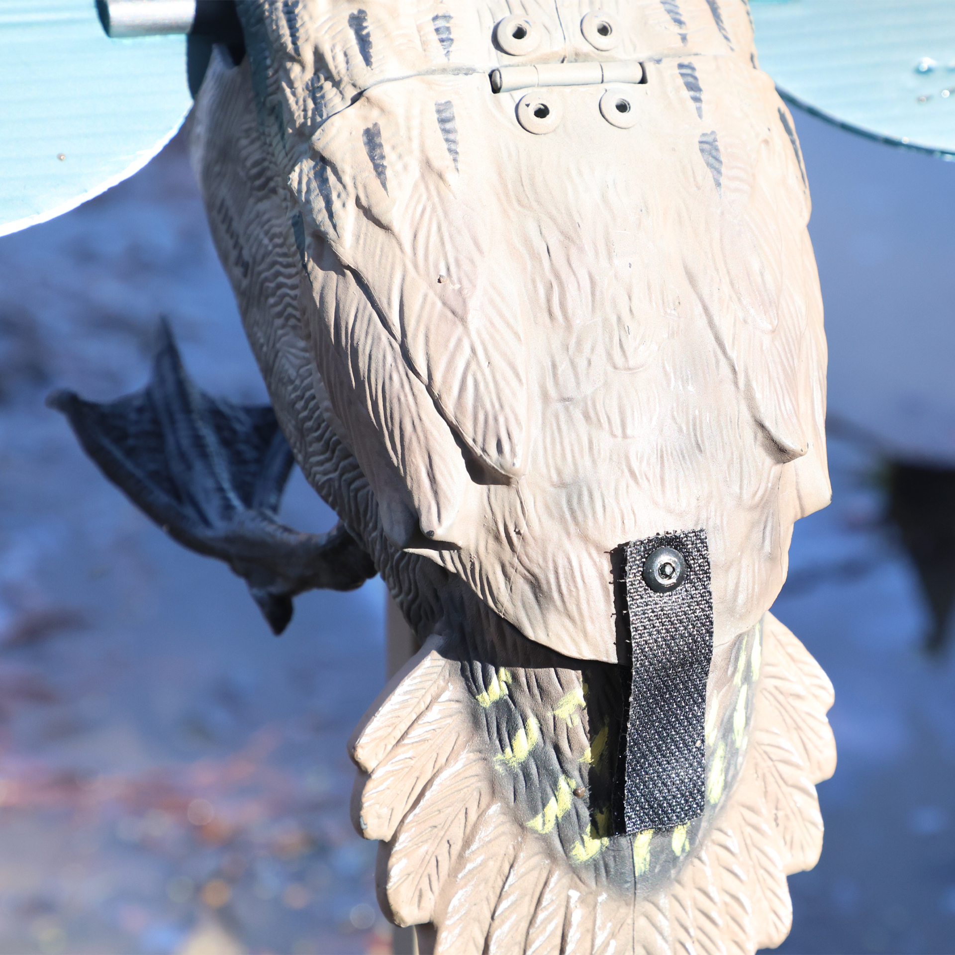 MOJO GREEN WING - immagine 8