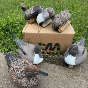 CODONE DUCK MANIA